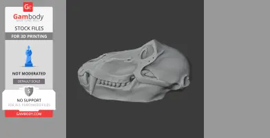 Hamadryas Baboon Skull - Skull Replica STL