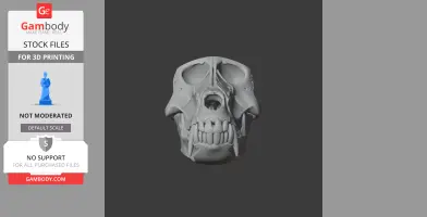 Hamadryas Baboon Skull - Skull Replica STL