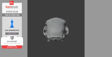 Hamadryas Baboon Skull - Skull Replica STL