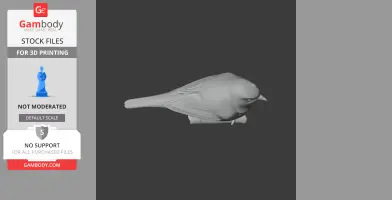White-eye Bird - Prehistoric Animal STL