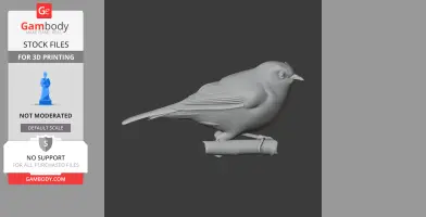 White-eye Bird - Prehistoric Animal STL