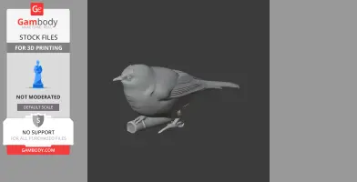 White-eye Bird - Prehistoric Animal STL