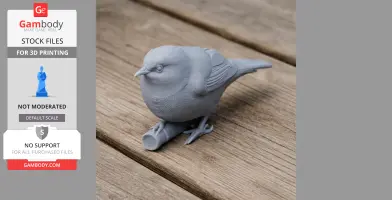 White-eye Bird - Prehistoric Animal STL
