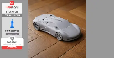 Audi Avus quattro - Scale Vehicle STL