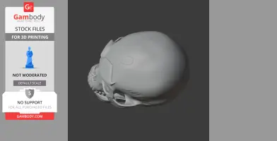Homo Floresiensis Skull - Skull Replica STL