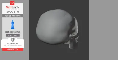 Homo Floresiensis Skull - Skull Replica STL