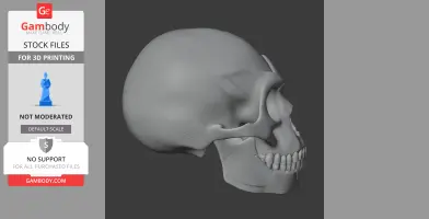 Homo Floresiensis Skull - Skull Replica STL