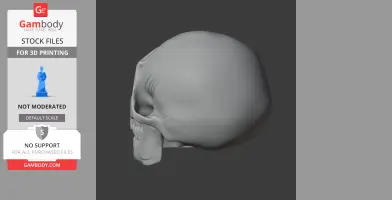 Homo Floresiensis Skull - Skull Replica STL