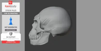 Homo Floresiensis Skull - Skull Replica STL
