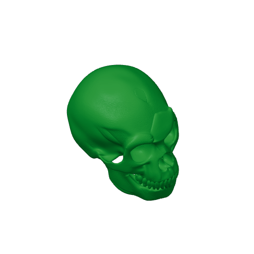 Homo Floresiensis Skull.3mf