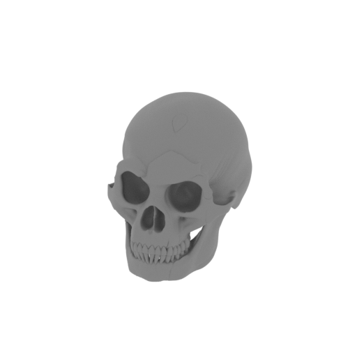 Homo Floresiensis Skull.stl