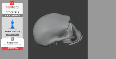 Homo Habilis Skull - Skull Replica STL