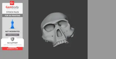 Homo Habilis Skull - Skull Replica STL