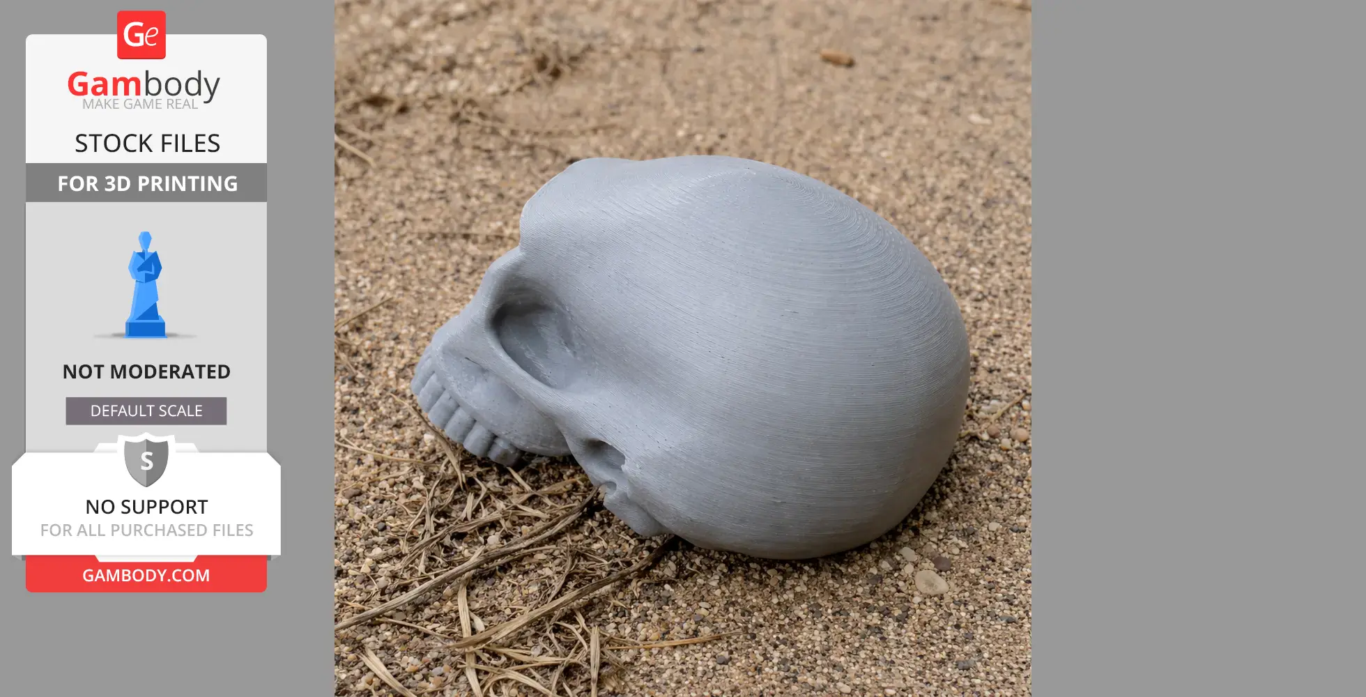 Homo Habilis Skull - Skull Replica STL