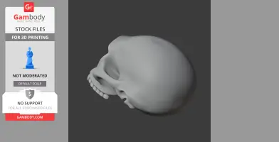 Homo Habilis Skull - Skull Replica STL
