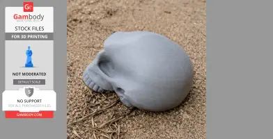 Homo Habilis Skull - Skull Replica STL