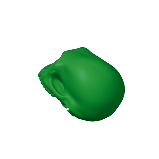 Homo Habilis Skull.3mf