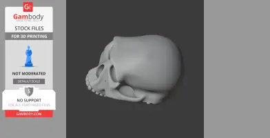 Homo Habilis Skull - Skull Replica STL
