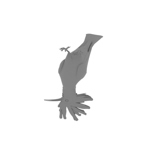 Wood Hoopoe Bird.stl