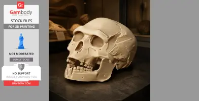 Homo heidelbergensis Skull - Skull Replica STL