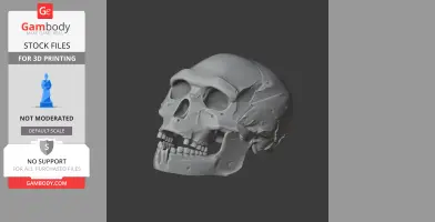 Homo heidelbergensis Skull - Skull Replica STL