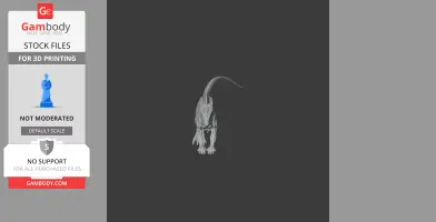 Xuanhuasaurus - Prehistoric Animal STL