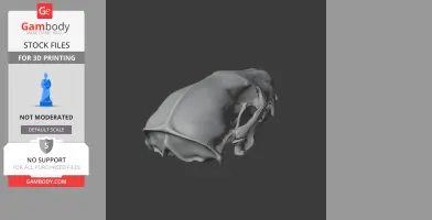 Honey Badger Skull - Skull Replica STL