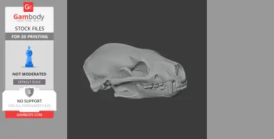 Honey Badger Skull - Skull Replica STL