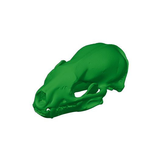 Honey Badger Skull.3mf