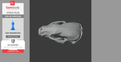 Honey Badger Skull - Skull Replica STL