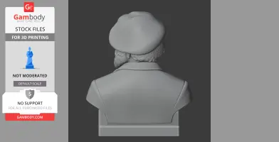 Bust of a man with a beard wearing a beret from the back view for 3D printing.