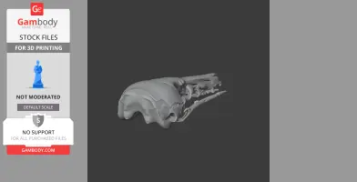 Honey Possum Skull - Skull Replica STL