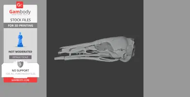Honey Possum Skull - Skull Replica STL