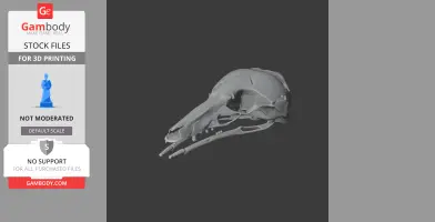 Honey Possum Skull - Skull Replica STL