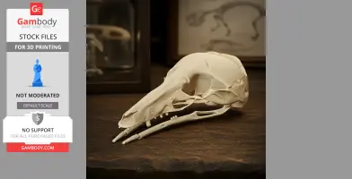 Honey Possum Skull - Skull Replica STL