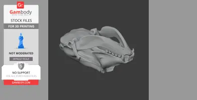Hooded Seal Skull - Skull Replica STL