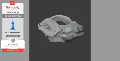 Hooded Seal Skull - Skull Replica STL