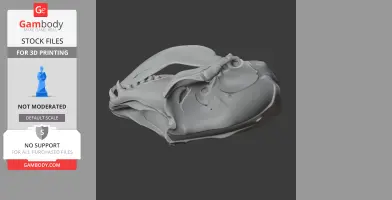 Hooded Seal Skull - Skull Replica STL