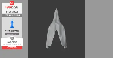 Horn Shark Skull - Skull Replica STL