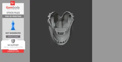 Horn Shark Skull - Skull Replica STL