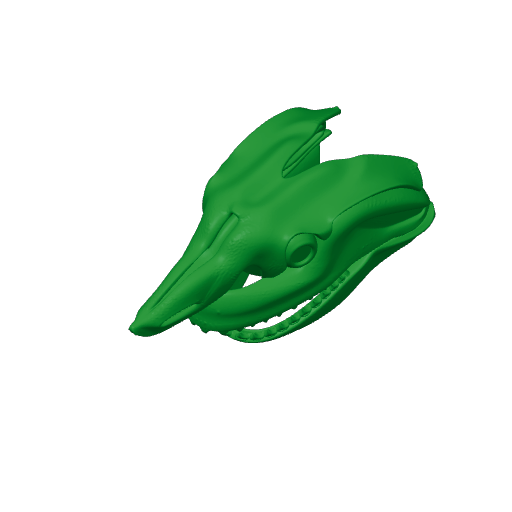 Horn Shark Skull.3mf