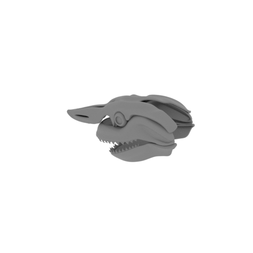 Horn Shark Skull.stl
