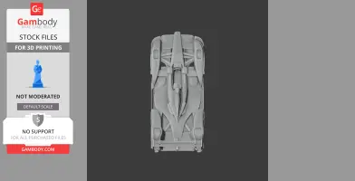 Top view of a detailed 3D model of an Audi R15 TDI race car, suitable for 3D printing.