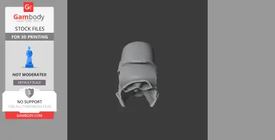 3D model of a Helmeted Hornbill skull, shown from the front on a dark background.