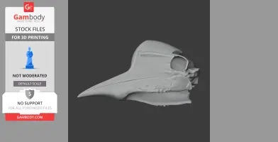 3D model of a Helmeted Hornbill skull, side view, designed for 3D printing.