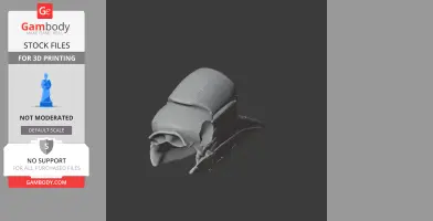 3D model of a helmeted hornbill skull replica for 3D printing.