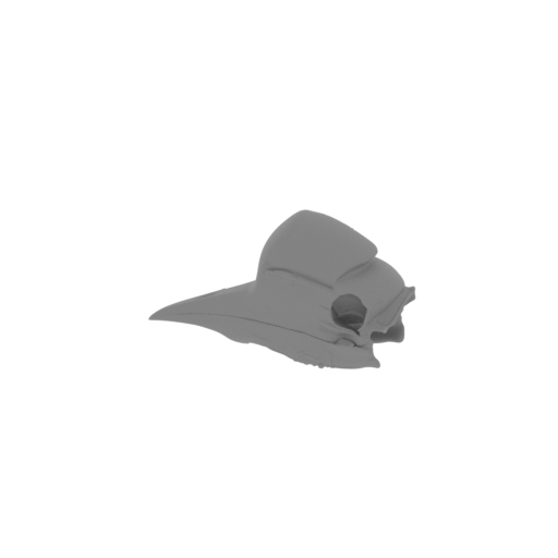 Hornbill (Helmeted) Skull.stl