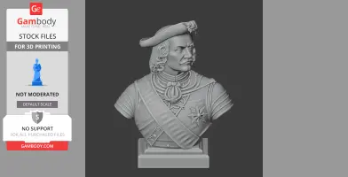 Peter the Great Bust - Historical Warrior STL