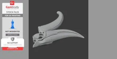 3D model of a rhinoceros hornbill skull replica, ideal for 3D printing.