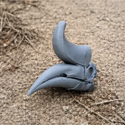 3D-printed rhinoceros hornbill skull replica on sandy ground.